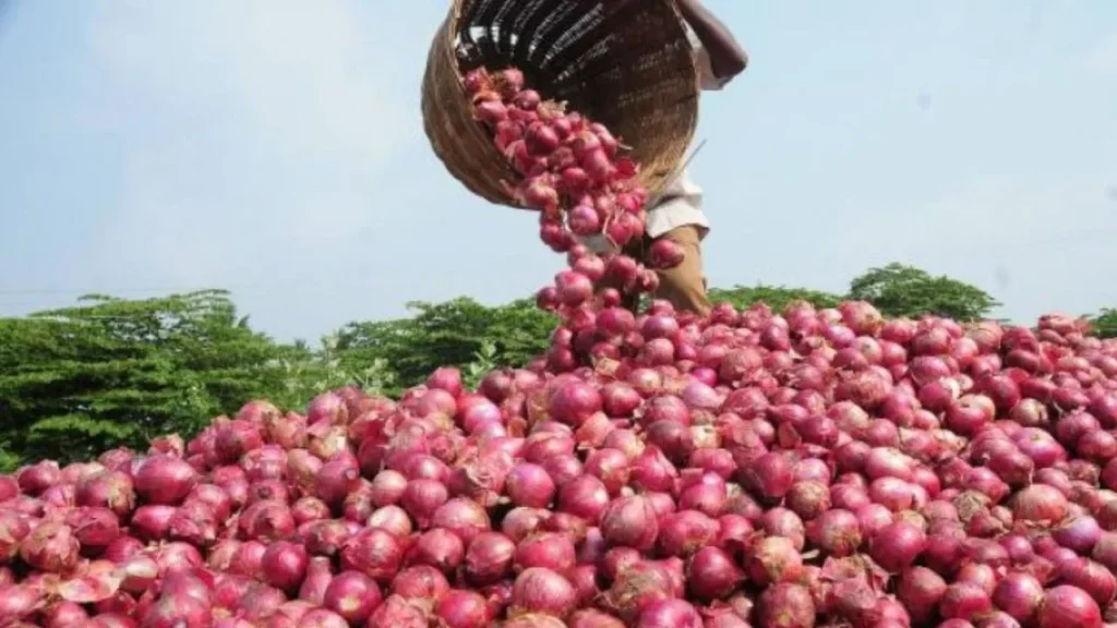 Today Onion Price in Bangladesh