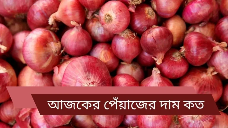 বাংলাদেশে আজকের পেঁয়াজের দাম কত