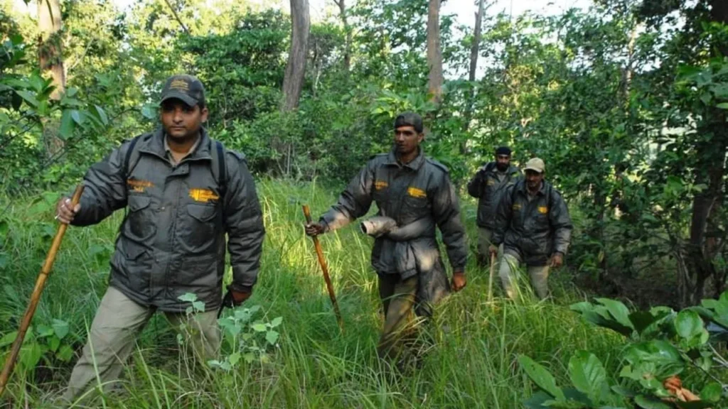 পশ্চিমবঙ্গ বনদফতরে বিশাল নিয়োগ